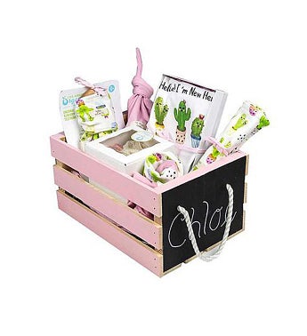 Baby Girl Gift Basket Baby Cactus