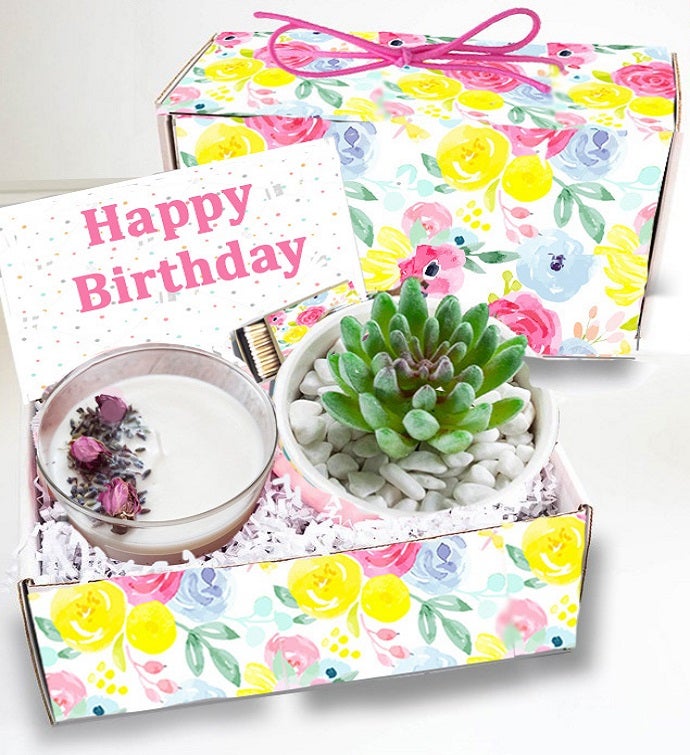 Birthday Succulent Gift Box MK007796