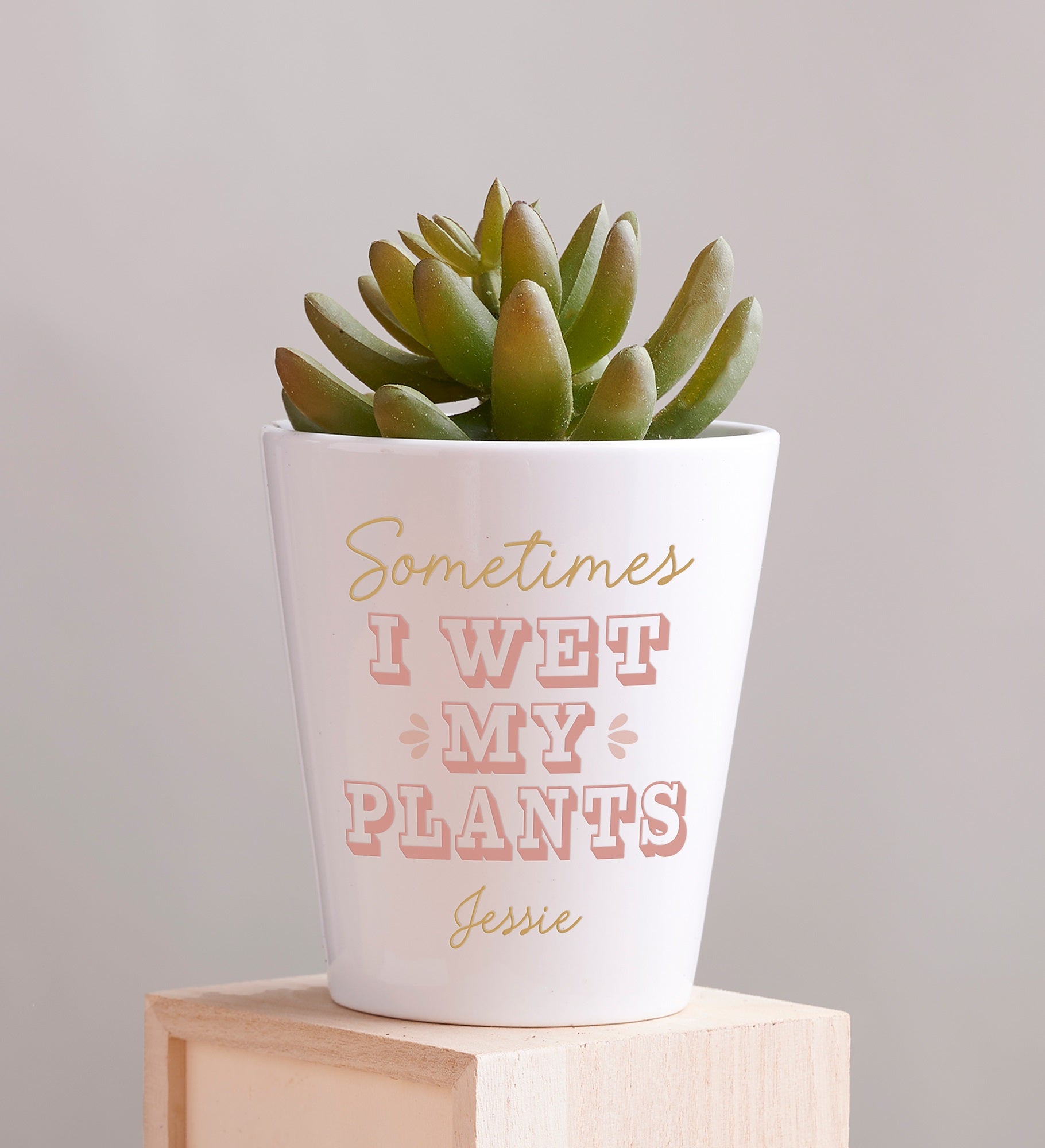 Kittenish Personalized Sometimes I Wet My Plants Mini Flower Pot