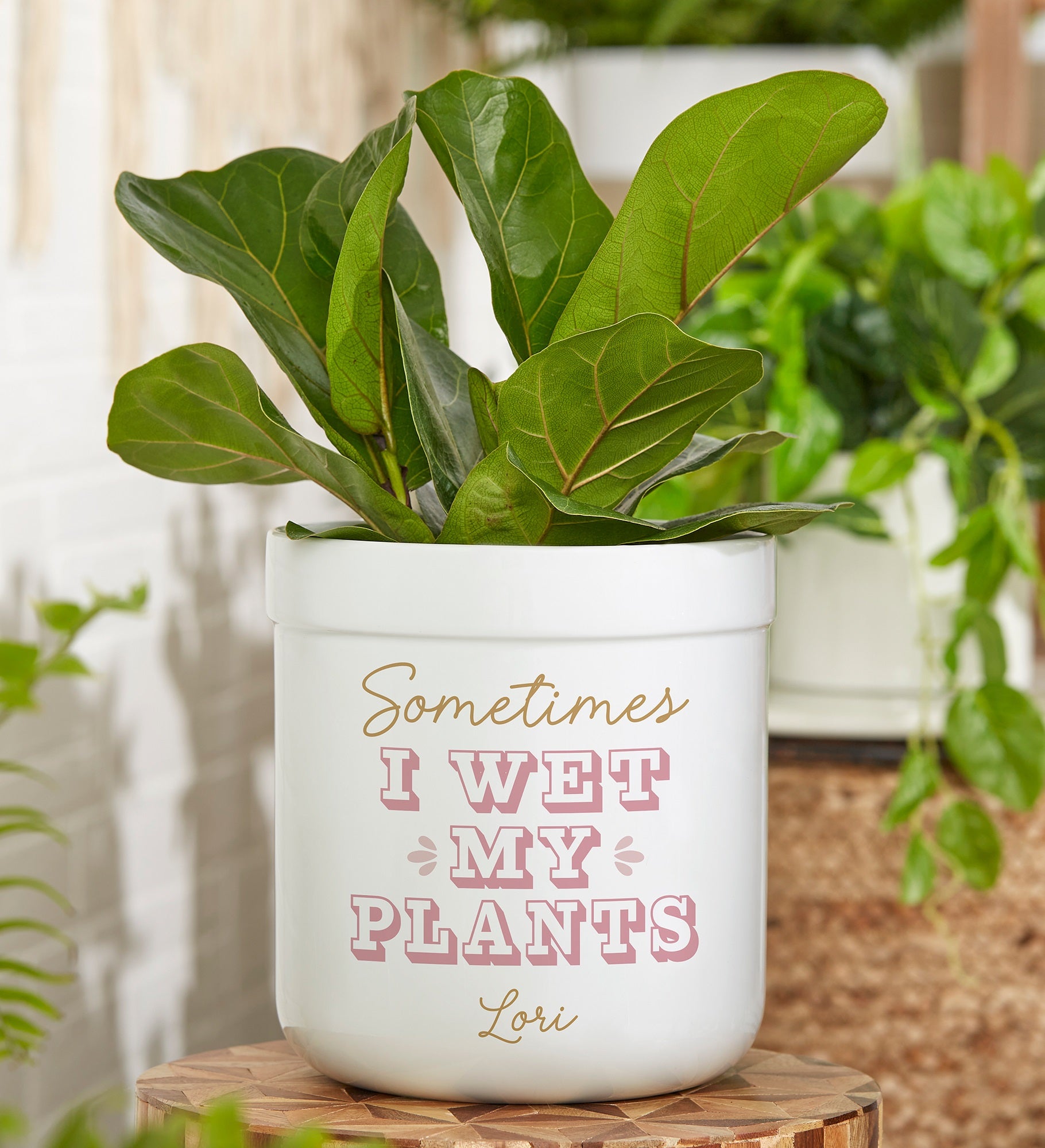 Kittenish Personalized Sometimes I Wet My Plants Flower Pot