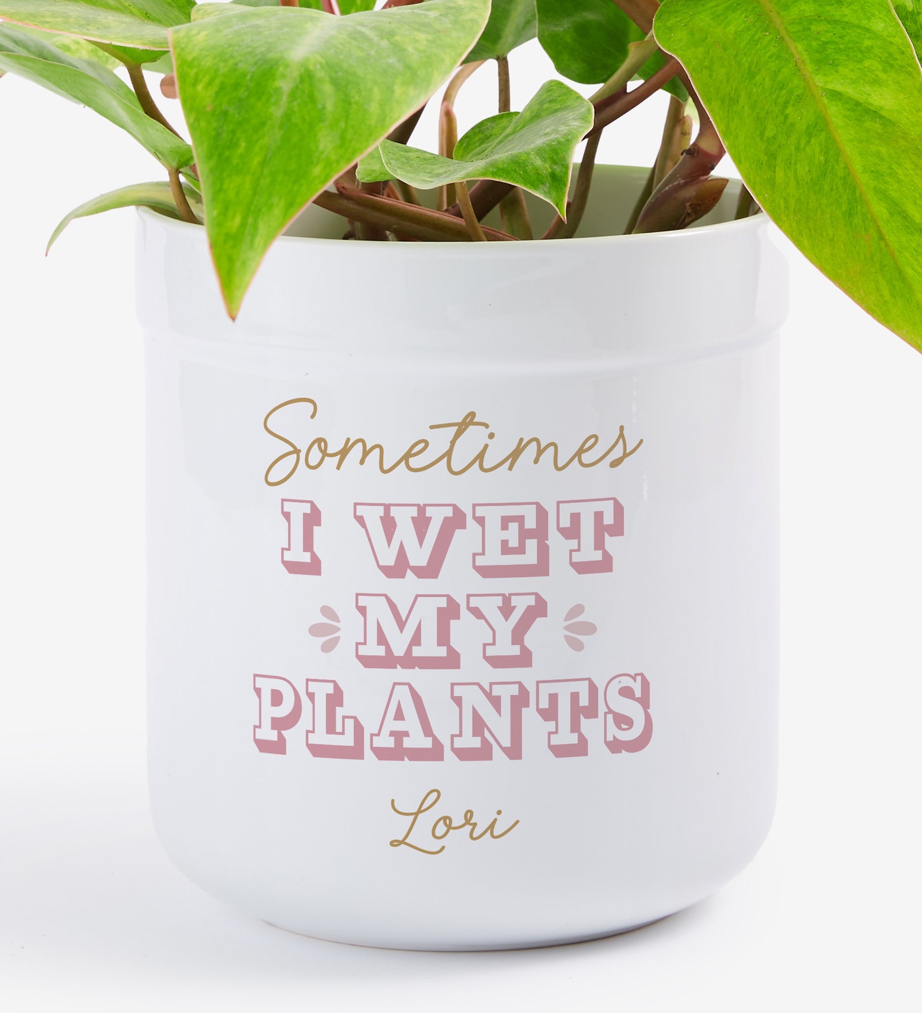 Personalized Sometimes I Wet My Plants Flower Pot by Jessie James Decker